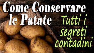 PATATE  I SEGRETI CONTADINI per CONSERVARE PERFETTAMENTE le PATATE del tuo ORTO [upl. by Niwle794]