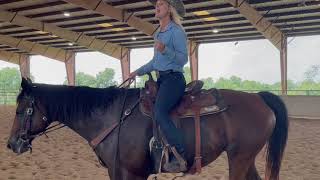 How to teach your horse to do a flying lead change [upl. by Nidia]