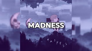 STIM  madness Official Lyric Video [upl. by Aivilo]