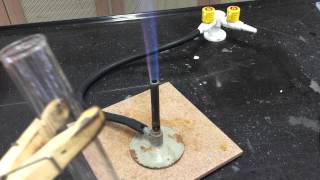 Cation Test Ammonium Ions [upl. by Colwell]