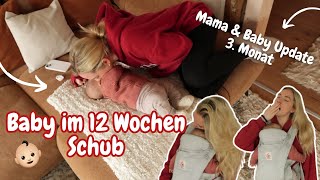 Baby im 12 Wochen Schub  Unruhige Nächte  Entwicklung  Mama amp Baby Update [upl. by Riada]