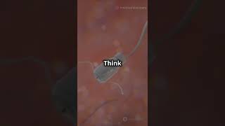 Nanotechnology is Revolutionizing Medicine The Future of Healthcare shorts nanotechnology [upl. by Carree]