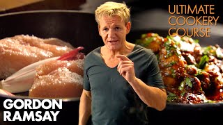 The Best amp Easiest CHICKEN Recipes Part 12  Gordon Ramsays Ultimate Cookery Course [upl. by Inalan517]