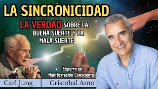 ¿Coincidencia o Destino La Sincronicidad Explicada [upl. by Alyosha429]