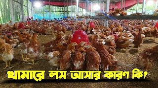 খামারে লস আসার কারন জেনে নিন।লেয়ার মুরগী লালন পালন পদ্ধতি।। BD Poultry Farm [upl. by Iglesias577]