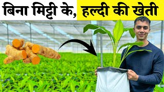 Soilless हल्दी Farming Secrets FINALLY Revealed Hindi  Agritalk by Abhinav Roy [upl. by Attelrac229]