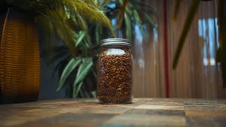 Lentil One Pot Stew  Plant Based ASMR Cooking [upl. by Lilithe854]