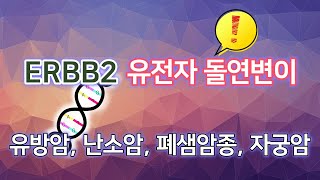 ERBB2 유전자 돌연변이  유방암 난소암 폐샘암종 자궁암 [upl. by Aihseuqram]