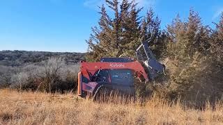 Kubota SVL753 with Loftness Battle Ax L series mulcher [upl. by Magena965]