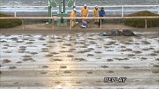 20150115 園田競馬8R 落馬事故 [upl. by Chaing]