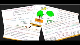 1Consommation de la matière organique Introduction Matière organiqueMétabolismeATP [upl. by Abehsile740]