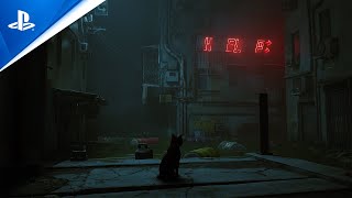 Stray  Gameplay Walkthrough  PS5 PS4 [upl. by Giffie777]