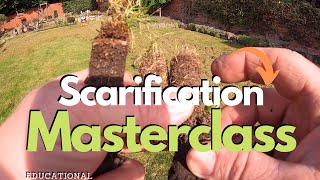 Scarification BASICS  Learn Why And How To Scarify Your Lawn [upl. by Ybab]