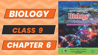 Biology 9 New Book Chapter 6 Molecular Biology Topic 1 Complete Explanation NBF 2024 Federal Board [upl. by Kim]