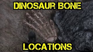 Dinosaur Bone At Heartlands Dewberry Creek RDR2 DinosaurBones [upl. by Tarazi367]