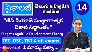 Piagets Cognitive Development Theory in Telugu amp English Psychology classes in Telugu for TET DSC [upl. by Neirod402]