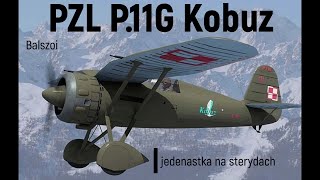 PZL P11G Kobuz  jedenastka na sterydach [upl. by Aehtorod]