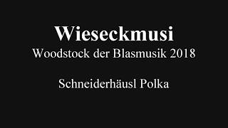 Wieseckmusi  Schneiderhäusl Polka  Woodstock der Blasmusik 2018 [upl. by Russia317]