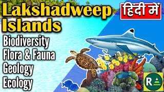 Biodiversity of Lakshadweep  Flora and Fauna of Lakshadweep Islands [upl. by Laemsi]