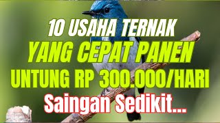 10 USAHA TERNAK YANG CEPAT PANEN UNTUNG 300 RIBU SEHARI YANG MENJANJIKAN Peluang Usaha Peternakan [upl. by Nohsar170]