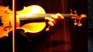 CHOPIN NOCTURNE No 20 in C Minor VIOLIN SOLO Sound Sample Italian Violin Eboyinc [upl. by Arihsa]