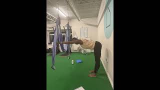 Trapeze Yoga For Beginners Your Ultimate Introductory Session [upl. by Nerrej449]