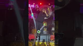 QDOT LIVE AT FELABRATION 2024 [upl. by Alexei]