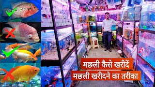 मछली कैसे खरीदें मछली खरीदने का तरीका  How to buy fish  buy healthy fish from fish shop [upl. by Solracnauj]