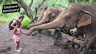 Tyannas 5th Birthday Surprise  Elephant Nature Park [upl. by Jumbala209]