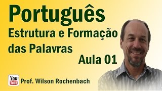 Estrutura e Formação das Palavras  Aula 01 Estrutura [upl. by Duffie]