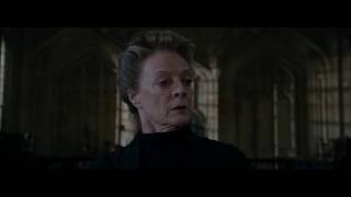 Harry Potter Remix  McGonagall Babbling Bumbling Band Of Baboons [upl. by Busiek720]