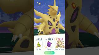 Shiny Mega Tyranitar Evolution Line vs TGR Leader Cliff in Pokemon GO [upl. by Sihonn]