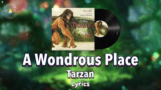 A Wondrous Place  TarzanLyricsDisney Movie Soundtrack [upl. by Akenahc278]