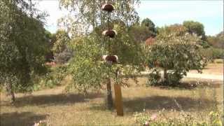 Copper Wind Chimes Temple Bells Trio [upl. by Otreblif]