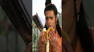 എങ്ങുപോയ് രാമൻറ്റെ സീത RAMA SONG nsedevotional ayodhya malayalam love ram song [upl. by Ttenaj]