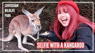 CAVERSHAM WILDLIFE PARK VLOG Perth Western Australia  simplyshow [upl. by Berna415]