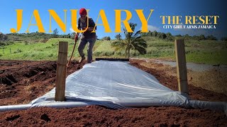 Starting Over  Modern Vegetable Farming In Jamaica 🇯🇲  caribchemjam [upl. by Sucitivel]