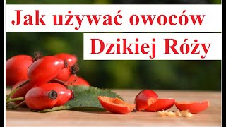 Jak używać Owoców Dzikiej Róży [upl. by Ettenajna]