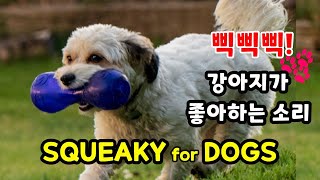 강아지가 반응하는 소리 【강아지가 가장 좋아하는 소리 삑삑  Toy Sounds Dogs Love The Most】 [upl. by Aldarcie]