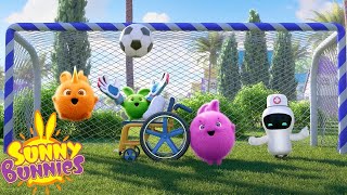 SUNNY BUNNIES  Soccer Practice  Season 8 Marathon  Cartoons for Kids [upl. by Otrebmal]