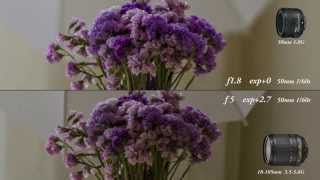 nikkor 50mm 18G vs nikkor 18105 3556G [upl. by Steffi]