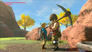 Breath of the Wild Tarrey Town Side Quest Walkthrough [upl. by Yknip]