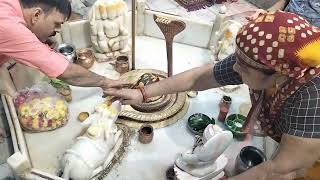 Shri Chintaharan Mahadev  Sudh Jal Snan  Shringar  Bhog  Arti  05112024 [upl. by Edlyn]