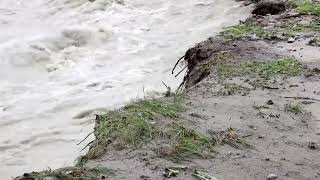 Heavy rain leads to intense flooding in Austria [upl. by Hynda]