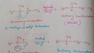 Rearrangement of Carbocation Hydride or Methyl Shift 12organicchrmistry [upl. by Ennaylil]