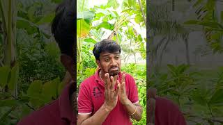 Friends dont drink alcohol nisha viralvideos youtubeshorts comedy davidcineofficial [upl. by Ecinaj]