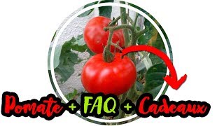 🌿 POMATO suite  FAQ  CADEAUX [upl. by Arakal]