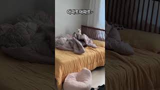 모리가 좋아하는 랜덤게임💭 music song pop 강아지 cover pets cute 강아지브이로그 lyrics [upl. by Edijabab]