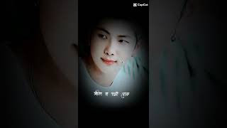 Mr Kim Namjoonbtsarmybanglasongzarazara [upl. by Asum]