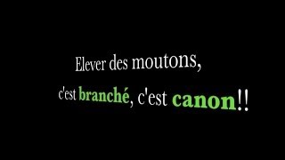 Elever des moutons cest branché cest canon [upl. by Wivinah52]